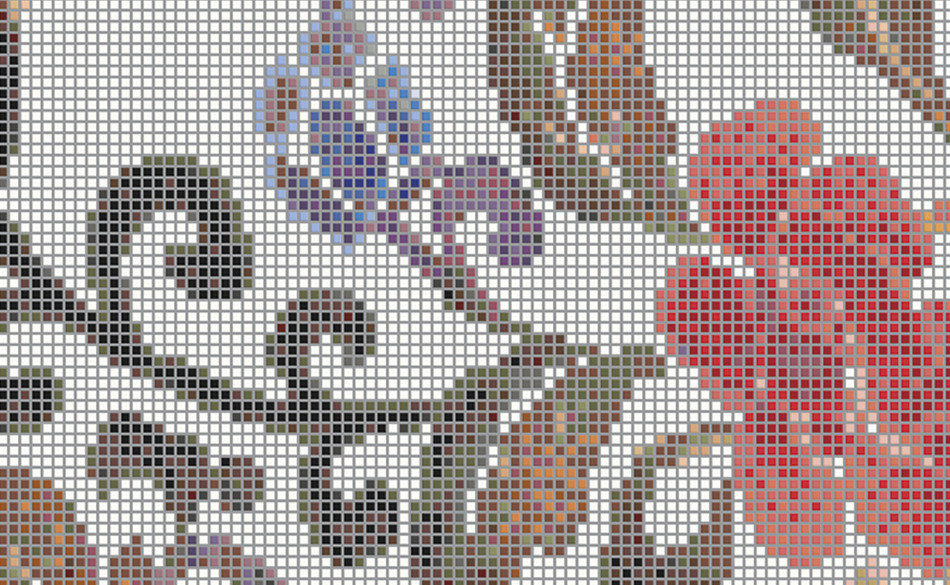 Summer Flowers