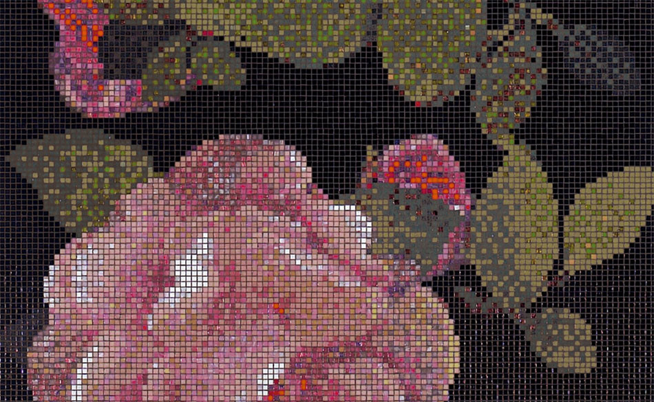 Springrose Nero