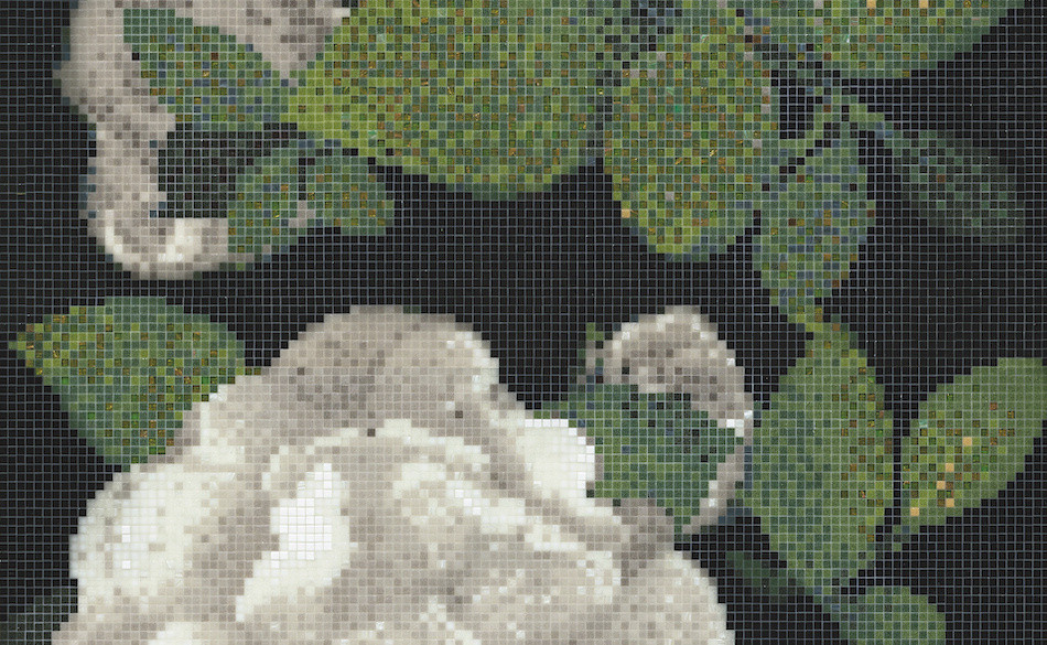 Springrose Grigio