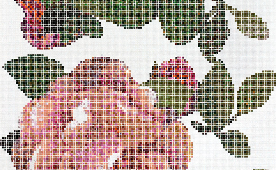 Springrose Bianco
